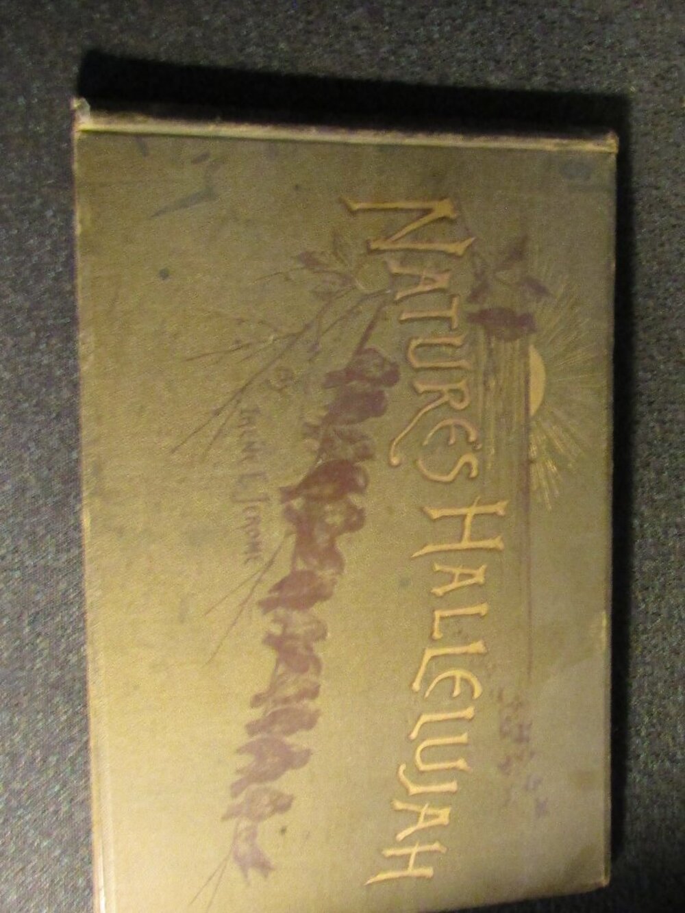 Scarce Antique 1886 Illustrated Book of Poetry NATURE'S HALLELUJAH Irene Jerome